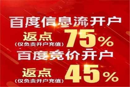 百度推广实战：成功企业的营销策略